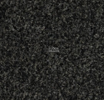Forbo Coral Click 7821-7831-7871-7881 Hurricane Grey фото 2 | FLOORDEALER
